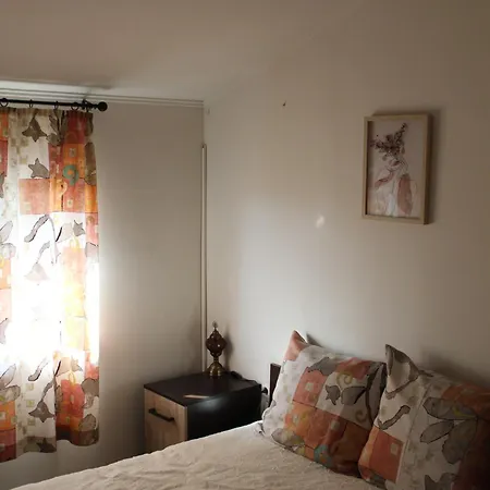 авлига * Варна