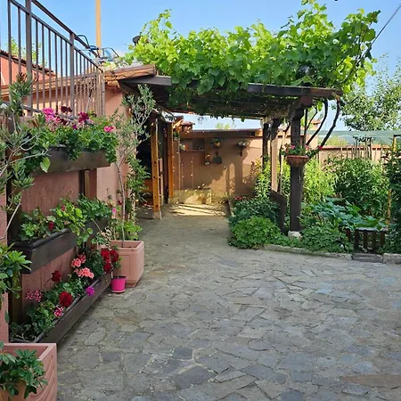 авлига Варна